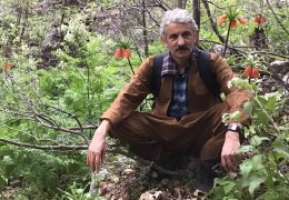    Hakikat Yolcusunu Anlatmak Yetmez!