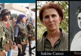 Rosa'nın konsepti hayat buldu