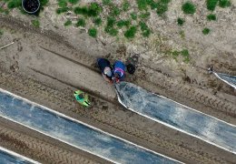 İşçisi Gürcistan’dan, ‘güzeli’ Almanya’dan