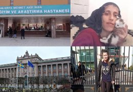 Kadın haber turu