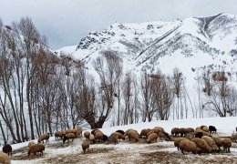 Kürdistan dağlarına vefa borcu