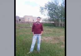 Tarlaya gideni de çobanı da vurdular