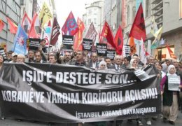 Dersim vekili Hasan Hayri’den Kobanê Davası’na 