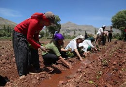 HDP’li kadınlar Semsûr'da