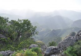 Savaş bölgesine o güçler niye yollandı?