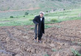 Kato’da 30 yıl sonra ekim