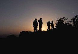 Dünyayı sarsan özgürlük kelebekleri