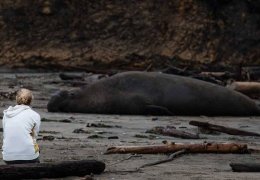 Ekolojik yıkıma iklim anlaşması çare midir?