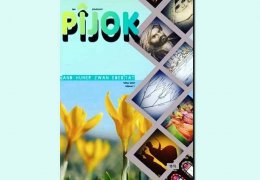 Bir ilk: Şêxbizinîlerin Pîjok'u 