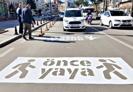 Kayyum Kürtçeyi sildi