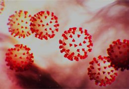 AKP’ye göre son 24 saatte ölen 64 kişi