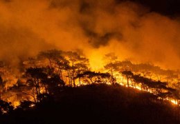 Çoraklaşmış bir gezegende özgürlüğün ne anlamı kalır?