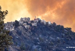 Cezayir ve Tunus'ta orman yangınları