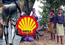 Shell, tazminat değil hesap vermeli