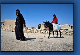 Kizwanan Dağları’nın çınarı