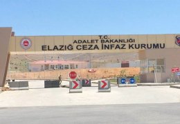 Kürtçe şarkı ve halaya soruşturma Meclis’e taşındı