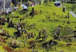 Qawuman: Köy, kent ve toplumsallık