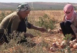 Ambargo kadınları vuruyor