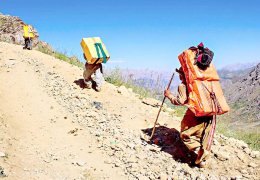 Bir haftada üç kolber katledildi