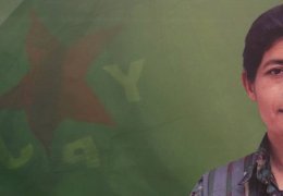 YPJ komutanı Sosin Bîrhat anıldı