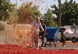 İsot hak ettiği değeri görmüyor