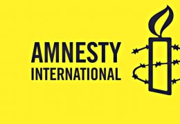 Af Örgütü: Suriye'ye dönenler işkence görüyor