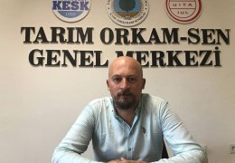  AKP doğa soykırımı yapıyor