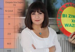 Zazakî için anayasal güvence şart 