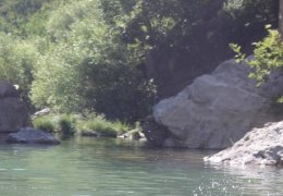 Geliyê Godernê yok edilmek isteniyor