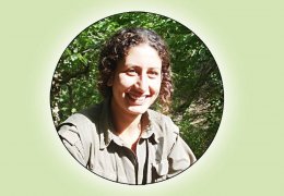 Bir de buluşan üç metafor