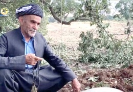 Bir fotoğraf, bir tarih ve toplumsal gerçeklik