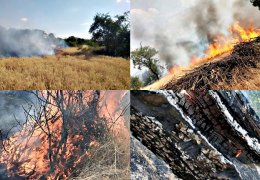 Lice mahallelerinde yangın