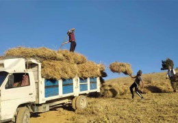 Hakkari’de kış hazırlığı