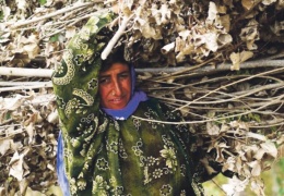 Ekonomiye katılmak mı? Cinsiyetçi rolleri beslemek mi?