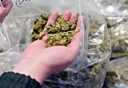 ‘Politik gençleri tutukladılar meydan baronlara kaldı’ 