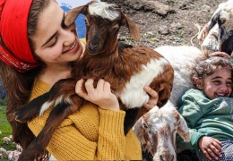 Şavakların Göçü