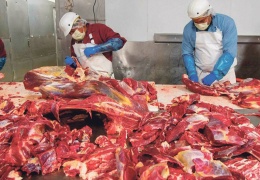 Çürümüş sistem, vicdansız uygulamalar