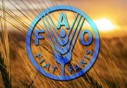 Gıda fiyatları 10 yılın en yüksek seviyesinde