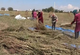 Kadınlar el yordamıyla tarım yapıyor