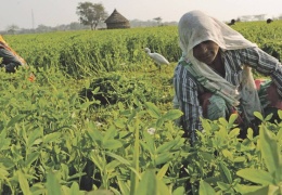 2,37 milyar insan açlık sınırında
