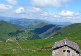 Bir Basklı'nın dilinden: Welat jiyan e