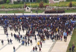 Diplomalı burjuvaların ihaneti…