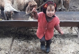 5 gündür bulunamıyor
