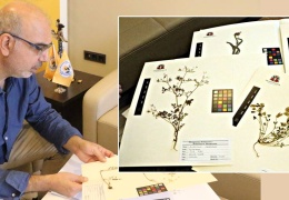 8 bin bitki ile Kürdistan'ın biyolojik hafızası