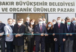 Kayyumun organik pazar fiyaskosu