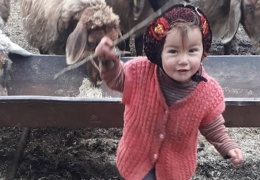 'Kutsal aile' öldürüyor! 
