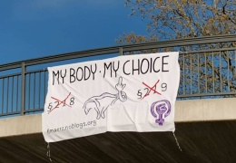 Almanya’da Kadınların Gündemi-4