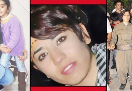 Garibe'nin Kürdistan'a dönüşme hikayesi