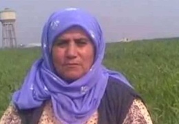 Hücrem demir, yürek demir!