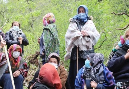 Tek ağaç kalana kadar direneceğiz